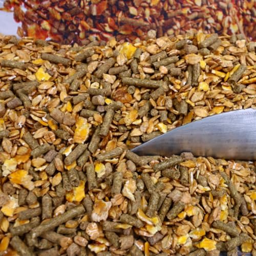 Derby Müsli Mix - für eine ausgewogene Pferdeernährung