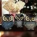 Artpaul Owl Statue Home Decor - Small Figurines for Shelves, Office, Living Room - Decorations and Gifts for Owl Lovers (Blue)
