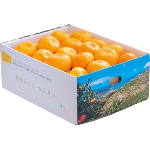 2025NΕʊ QFaY B݂iRj