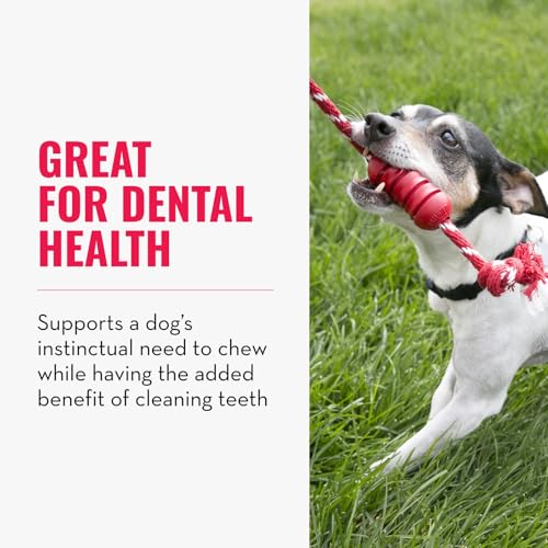 KONG Dental mit Seil - Für die Zahnpflege von Hunden - Befüllbares Kauspielzeug - Reinigt Zähne und Zahnfleisch - Für Mittelgroße Hunde