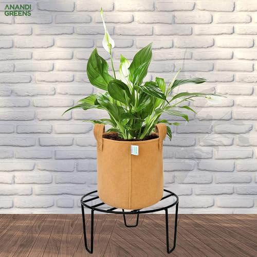 Image of Anandi Green's Black Color Anti Rust Metal plant Stand For for Balcony, living room, indoor and outdoor use (AG PS ROUND 12)