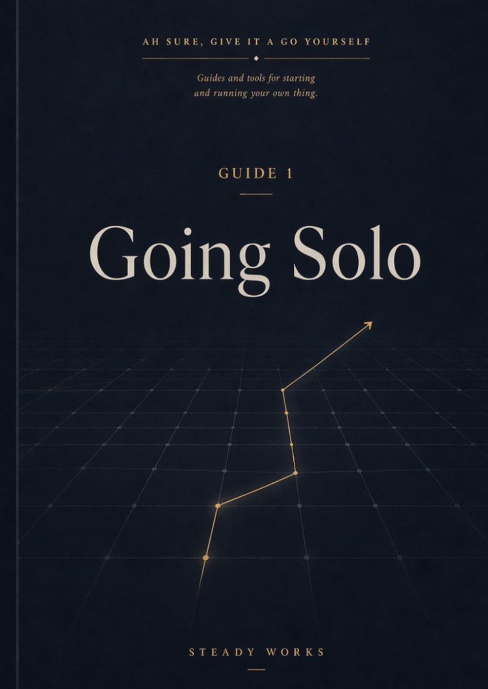 Going Solo: For people thinking about starting out on their own. (Ah Sure, Give It A Go Yourself)