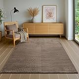 the carpet