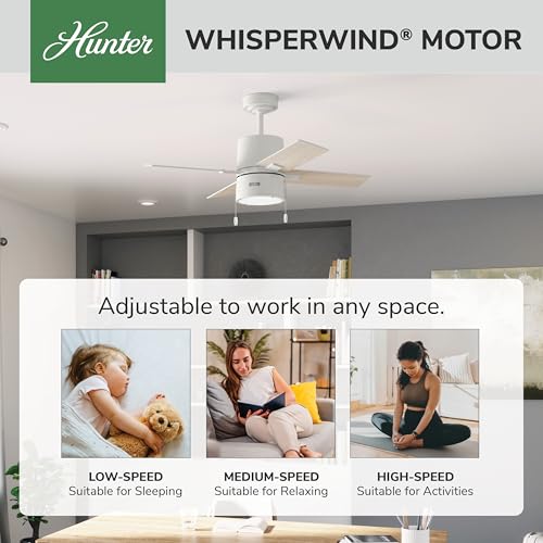 Image of Hunter Beck, Indoor, Ceiling Fan, with LED Light, 42 inch, Fresh White
