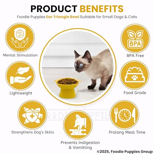 Image of Foodie Puppies Cat Food and Water Feeder (Triangle Bowl, Pack of 2) | Durable, Anti Vomiting, Healthy Cat Bowl for Persian Cat Prevent Tipping Over | Elevated Feeder for Cats and Small Dogs