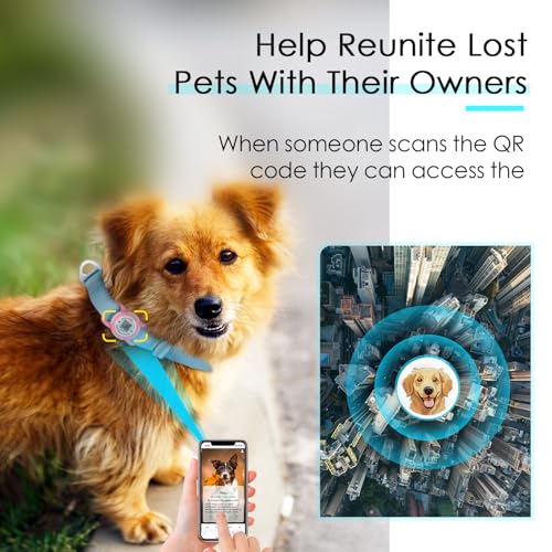 ADVENTUREMORE Airtag Nylon Dog Collar fits Different Size Dogs with a QR Code tag, preventing Dog from Getting Lost at Night, and Recording Dog Details. It can Call and Address The Owner-Teal-Large ADVENTUREMORE Airtag Nylon Dog Collar fits Different Size Dogs with a QR Code tag, preventing Dog from Getting Lost at Night, and Recording Dog Details. It can Call and Address The Owner-Teal-Large