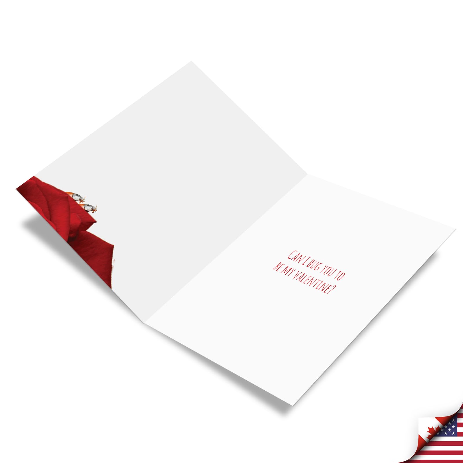 C1668VDG Stud Muffin Carte De Vœux Humoristique Pour La Saint