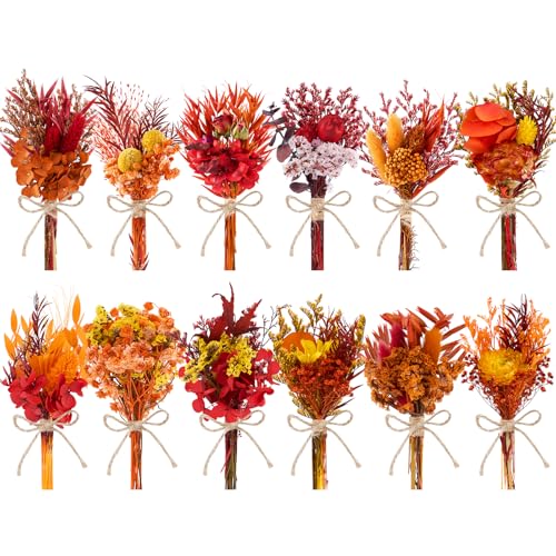 LawnIdyll 12PCS Fall Dried Flowers Bouquet for Vase Various Dried Wildflowers with Stems Mini Handmade Wildflowers Natural Real Flowers Bulk Flowers for Crafts DIY Wedding Decor (Fall,Burnt Orange Se