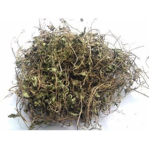 HERBALISM Eclipta Alba kadimulbirt False daisy Bhringraj dried 150gm 1