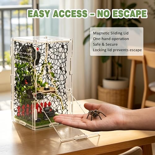 Image of Jumping Spider Enclosure Kit 22pcs Terrarium with Decor