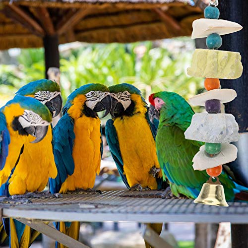 Balacoo Bico Do Papagaio Brinquedo Gaiola de Cálcio Pedra Guarnição Periquitos Contas Ranger Os Dent