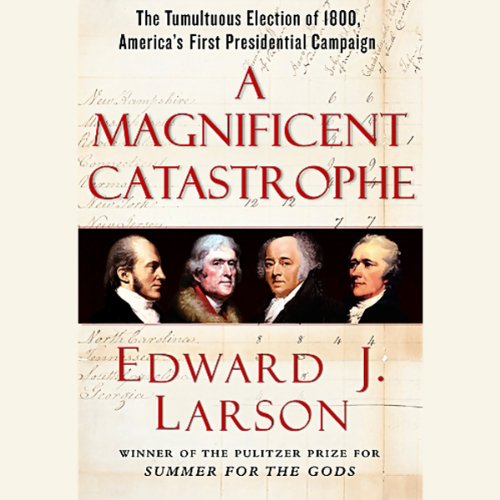 Cover art for A Magnificent Catastrophe