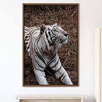 Framed Canvas Wall Art Tiger Animals Chic Dramatic Lion Living Room Multicolor Photography - 16x24 inches