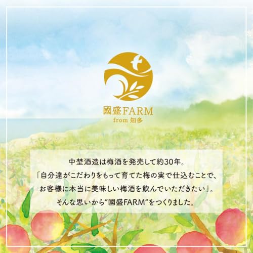 中埜酒造 國盛 無濾過梅酒 知多 720ml の商品画像 3