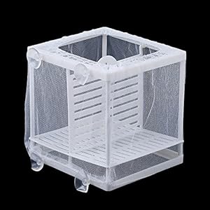 Aquarium Aquarium vis fokken fokker doos baby vis broederij isolatie netto vis tank incubator doos hangende aquarium…