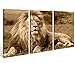 Produktbild Leinwand 3 tlg. Löwe Afrika Tier Tiere Savanna Bild Wandbild aufgespannt 9A513 Holz-fertig gerahmt -direkt Hersteller, 3 tlg BxH:120x80cm (3Stk 40x 80cm)