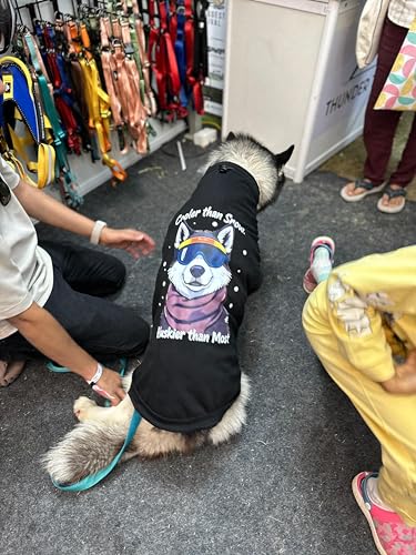 Image of Thunder Tails Premium Cotton Dog T-Shirt | Adjustable Neck | for Large Dogs| Black | 5XL | for Siberian Huskies, Husky