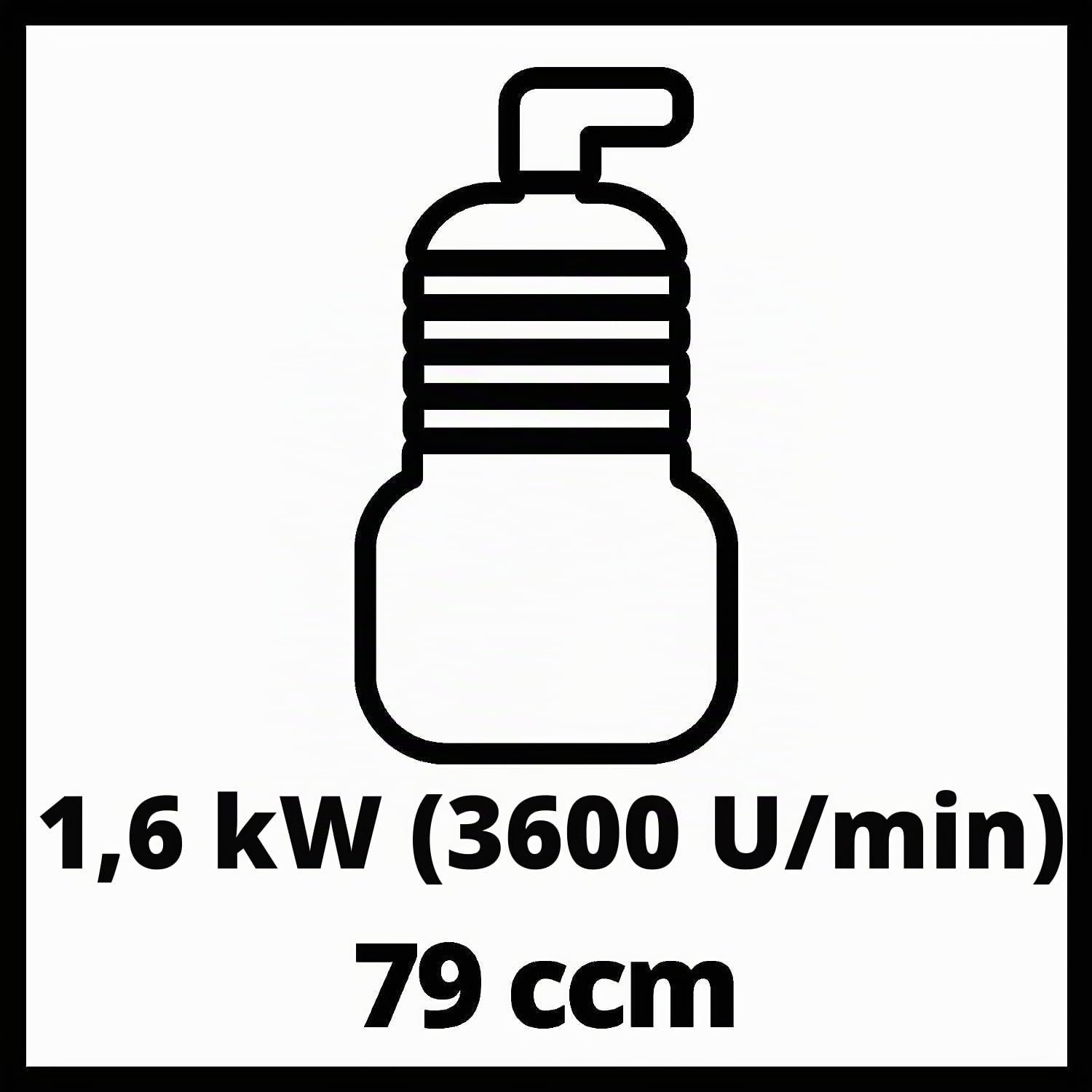 Einhell Benzin-Wasserpumpe GC-PW 16 (1.6 kW, max. 14000 L/h Fördermenge, max. 28 m Förderhöhe, Wasserablassschraube, Ölmangelsicherung, inkl. 2x Schlauchadapter, Saugkorb)