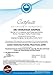 SVA Organics PREMIUM THERAPEUTIC GRADE Essential Oils For Skin Hair Aromatherapy