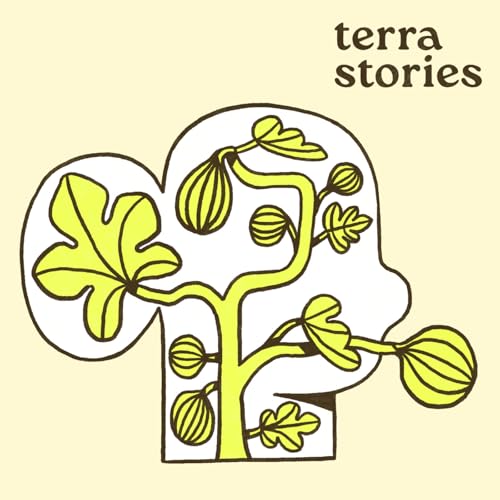 Page de couverture de Terra Stories