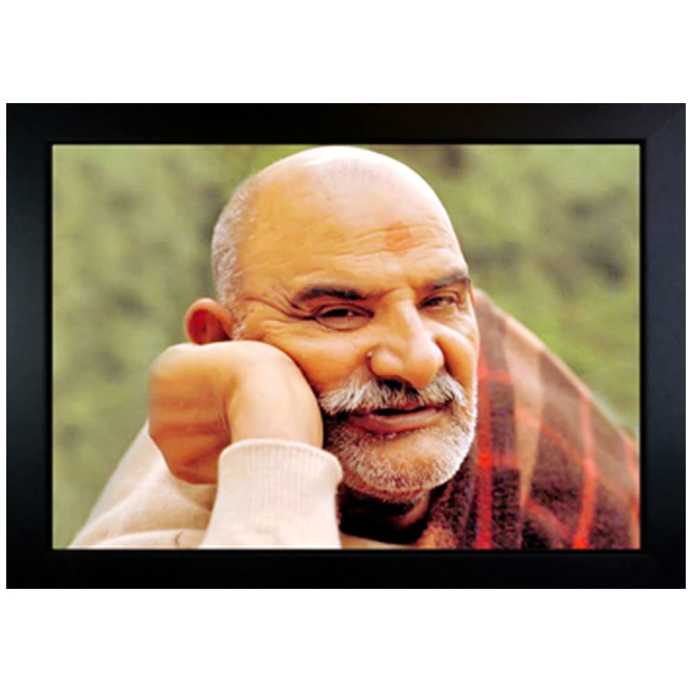 RV SALES Neem Karoli Baba Photo Frame Wall Painting For Home Decoration And Gifting (10 x 13.5 inch) (Neem Karoli Baba) (B0C1TD8YM1) Amazon Price History, Amazon Price Tracker