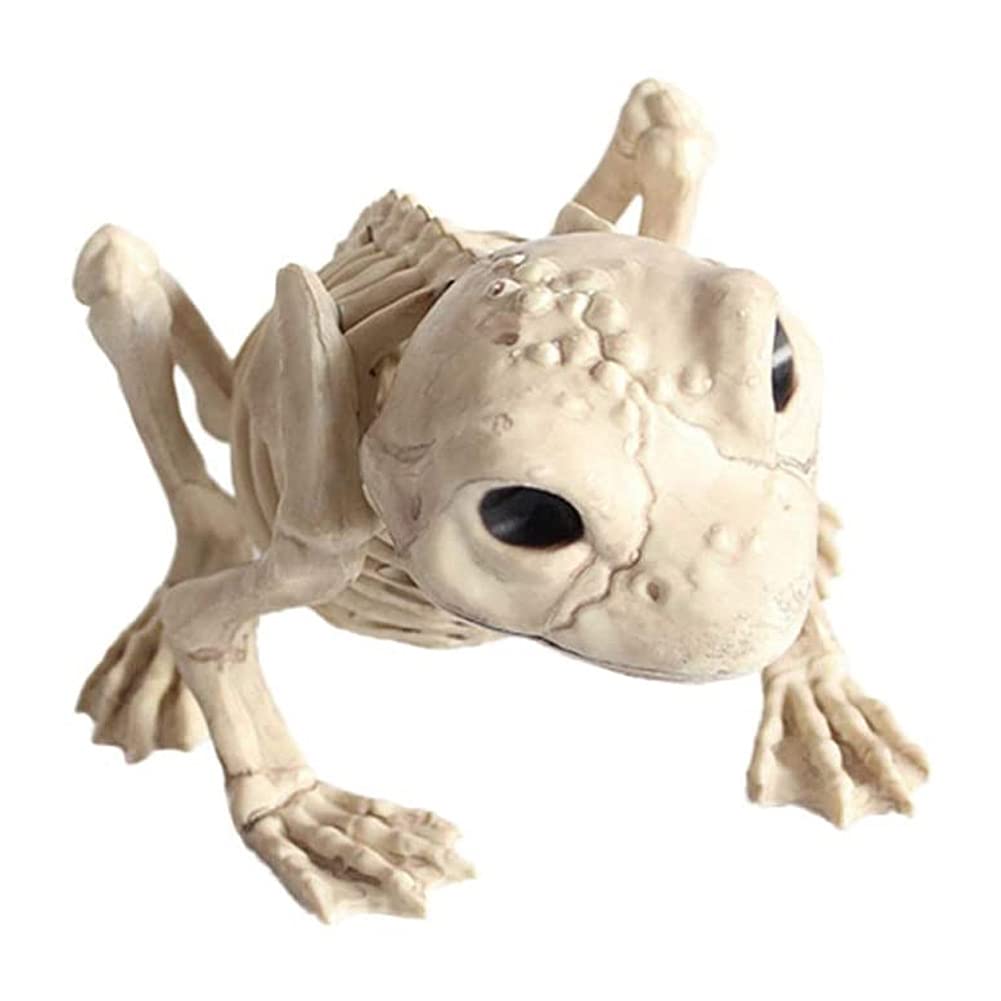 Nicejoy Halloween Skeletons,Plastic Animal Skeleton Bones Halloween Frog Skeleton Spooky Frog Bone Model Party Scary Props for Halloween Decorations