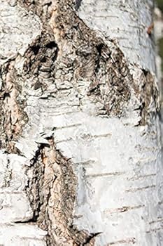 Wood I - Sweden - Photo Art Notebooks