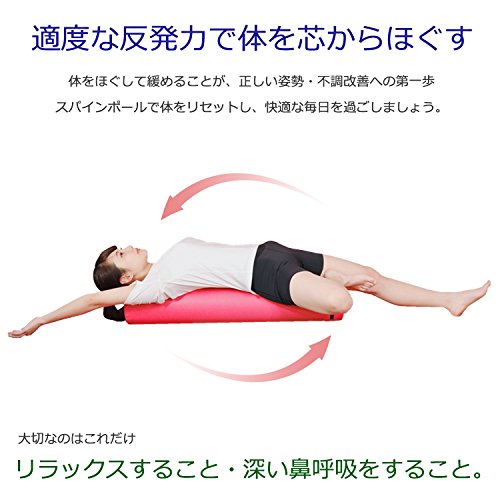 Amazon | [ラッキーウエスト] スパインポール ブルー LW-VA308BL