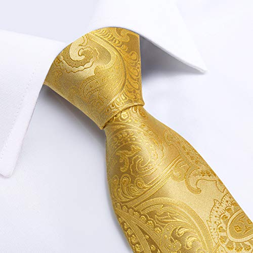 Image of DiBanGu Paisley Ties for Men Silk Necktie and Pocket Square Cufflinks Tie Clip Set Woven Classic Mens Tie for Wedding Party
