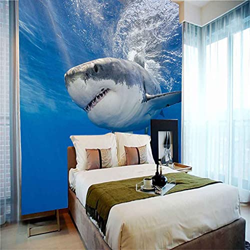 Papier peint 3D requin bleu autocollant pour masquer un mur nu