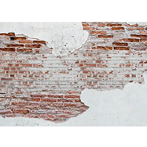 Runa Art Fototapete Steinwand 352 x 250 cm Vlies Tapeten XXL Moderne...