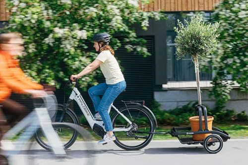 Hamax - Venture Cargo-Anhänger – leicht und robust – Fahrrad- und Gehmodus – max. Belastung 60 kg – Maße 575 x 280 x 900 mm – Zubehör im Lieferumfang enthalten: Haken, Sandow, Bezug – kompaktes und