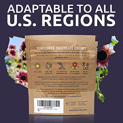 Sweet Yards Seed Co. Chocolate Cherry Sunflower Seeds - Extra Large 1 Ounce Packet - Over 1,200 Fresh Open Pollinated Non-Gmo Flower Seeds - Helianthus Annus - Stunning Deep Burgundy Petals #TOP6