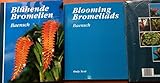 Blühende Bromelien, with English translation