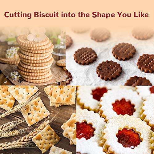 Chrider Ravioli Stamp Set (Set Of 5), Ravioli Maker Cutter With Wooden Handle–For Ravioli, Pasta, Dumplings Lasagna, Pierogi, Leading Dough Cutter And Press Stamps #TOP2