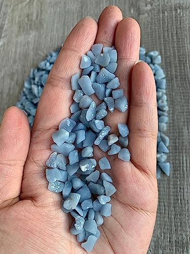 Image of GAF TREASURES 2 oz Lot Natural Angelite Semi Tumbled Gemstone Chips, Crushed Mini Crystals, Undrilled Crystal Chips (Angelite)
