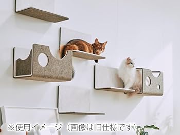 ねこにゃんページ ねこぱんち 紅葉ながめるネコのしっぽ号 (にゃんCOMI