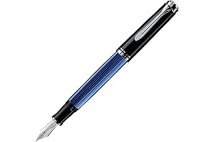 Pelikan M805 fountain pen