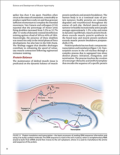 Science and Development of Muscle Hypertrophy - Image 2