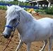 T TEKE Adjustable Horse Halters by Heavy Duty Soft Nylon, Padded with Anti-rubbing Waffle Neoprene on Both Crown & Nose
