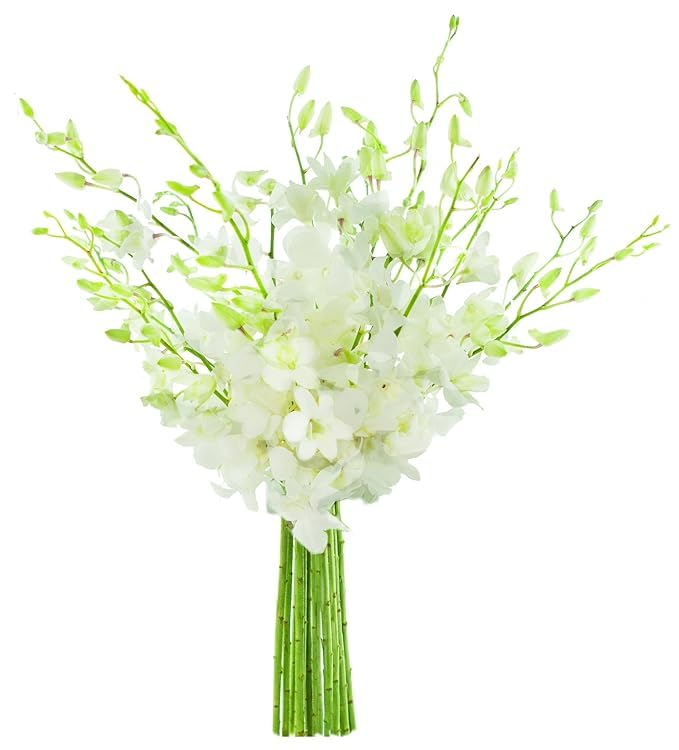KaBloom-20 White Orchid Bouquet,Flowers for Valentine, Mother's Day