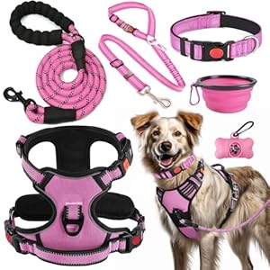 LOBEVE No Pull Dog Harness, Collar & Leash Set | Includes Dog Seat Belt, Collapsible Bowls & Poop Bag Dispenser. Ideal for Training, Walking, Hiking. Fits Small to Large Dogs(Pink-L)
