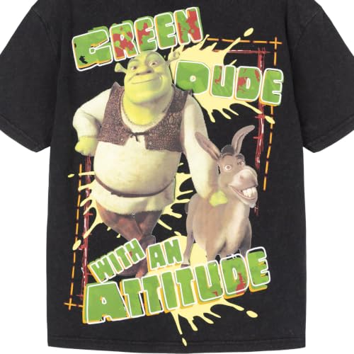 Image of DreamWorks Shrek Matching Family Short Sleeve T-Shirt