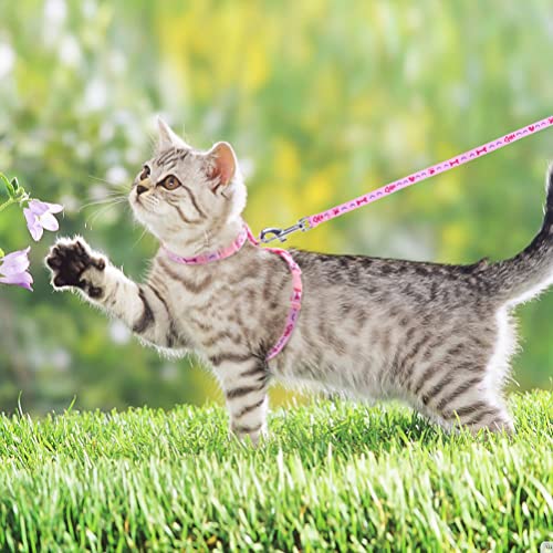 Cat Harness and Leash Set - Pack of 2 - Escape Proof Soft Adjustable Harness and Leash Set for Cats Walking, Easy… - Image 7
