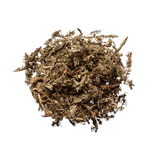 Plum Dragon Herbs Shen Jin Cao (Japanese Clubmoss) | Lycopodium Clavatum | Chinese Herb, 1 Lb.