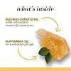 Burt's Bees Beeswax Lip Care Cream - Mint Refreshment