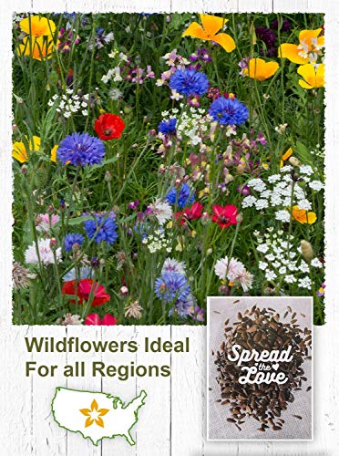 American Meadows Wildflower Seed Packets ''Spread The Love'' Party Favors (Pack Of 20) - Wildflower Seed Mix, Party Favors For Weddings, Valentine's Day, Anniversaries, Thank You #TOP4
