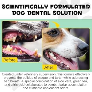 Fresh Breath Original | Dog Oral Care Water Additive | Keep Dog Breath Fresh and Teeth Clean | Dog Breath Freshener for Dental Care Gum Health | Gums and Oral Health Care for Your Dog, Cat or Pet Fresh Breath Original | Dog Oral Care Water Additive | Keep Dog Breath Fresh and Teeth Clean | Dog Breath Freshener for Dental Care Gum Health | Gums and Oral Health Care for Your Dog, Cat or Pet