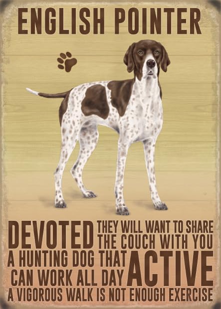 Small Wall Plaque Metal Sign - English Pointer, 15 20 cm