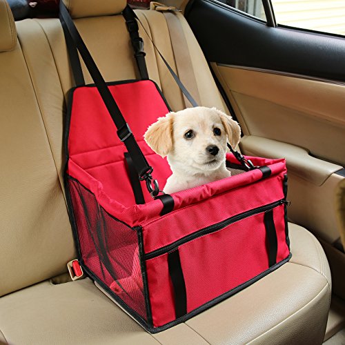 PCN Appeal Letter Example for Successful Challenges 126 Aandyou Pet Car Booster Seat Breathable Waterproof Pet Dog Car Su...